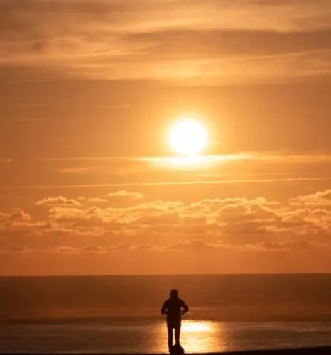 Πανσιόν Bookstor Atelier 3*