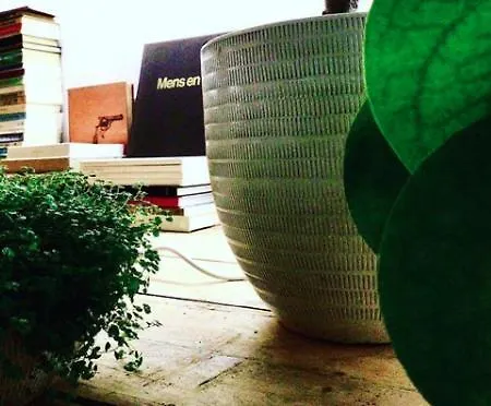 Pensjonat Bookstor Atelier