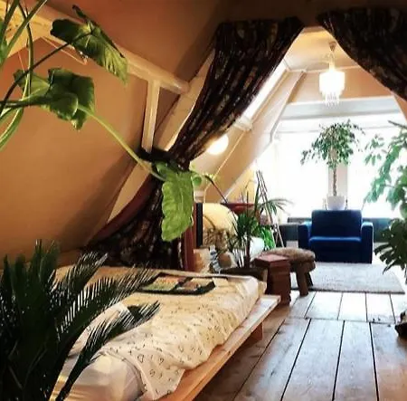 Bookstor Atelier Guest house The Hague
