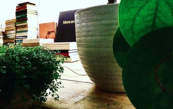 Pensión Bookstor Atelier